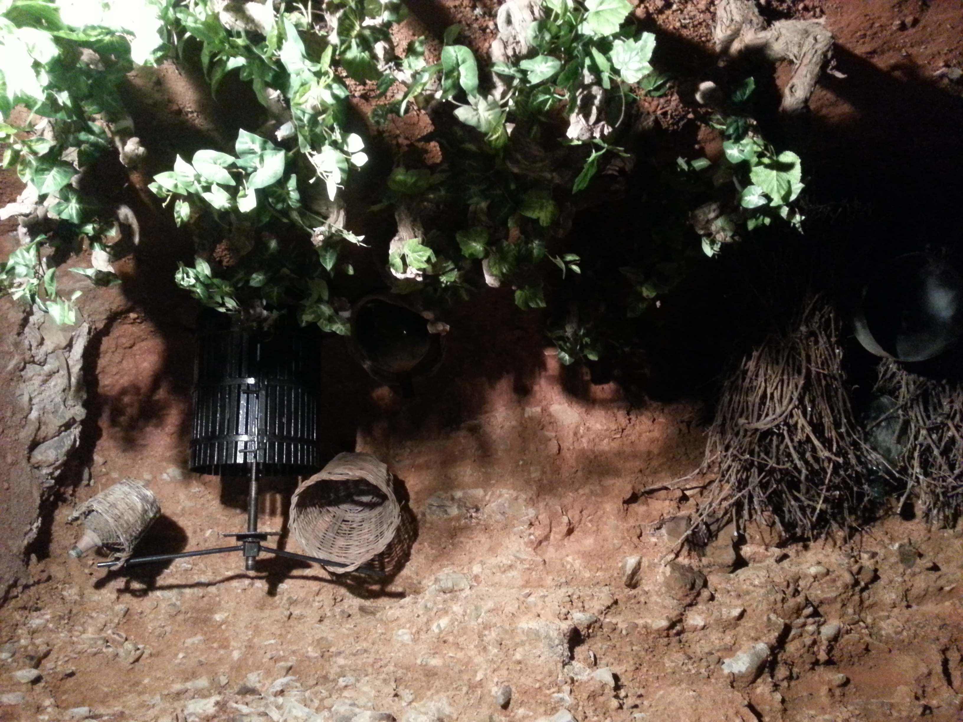 Bodega detalle